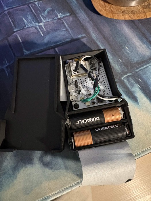 Tag in a 3D-printed enclosure with two AA batteries