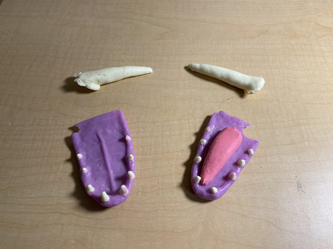 Resin horns and mouth inserts