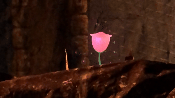 Pepper's ghost rose effect in the stage scenery