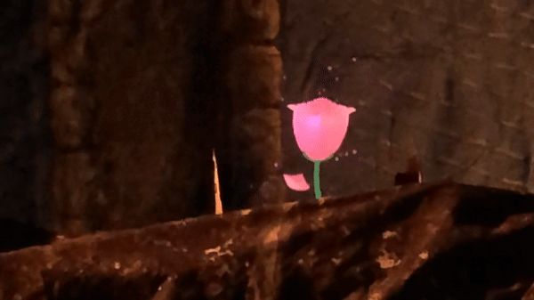 Pepper's ghost rose effect in scenery